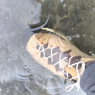 V pohodě po kotníky ve vodě - LOWA EXPLORER GTX LO
