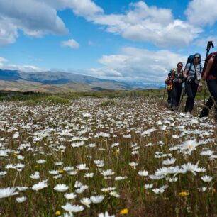 W jako „wow“: královský trail divočinou jižní Patagonie