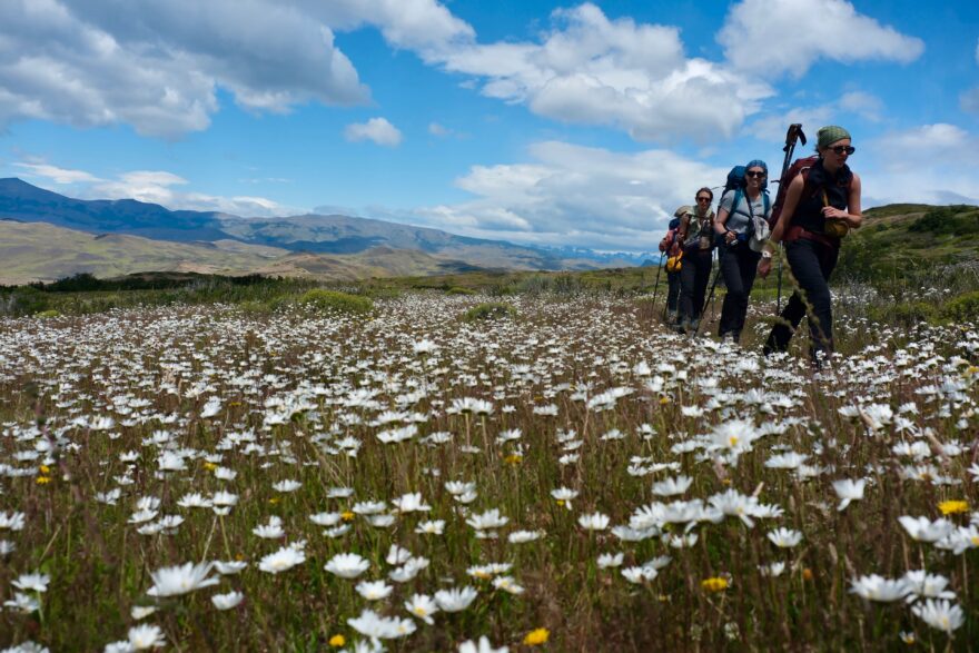 W jako „wow“: královský trail divočinou jižní Patagonie
