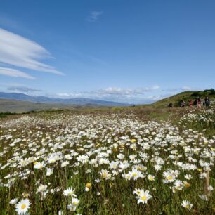 W jako „wow“: královský trail divočinou jižní Patagonie