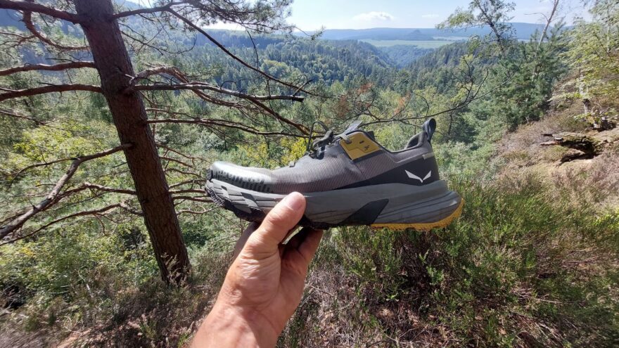 Určeny pro rychlou chůzi - SALEWA PEDROC 2 MAX M