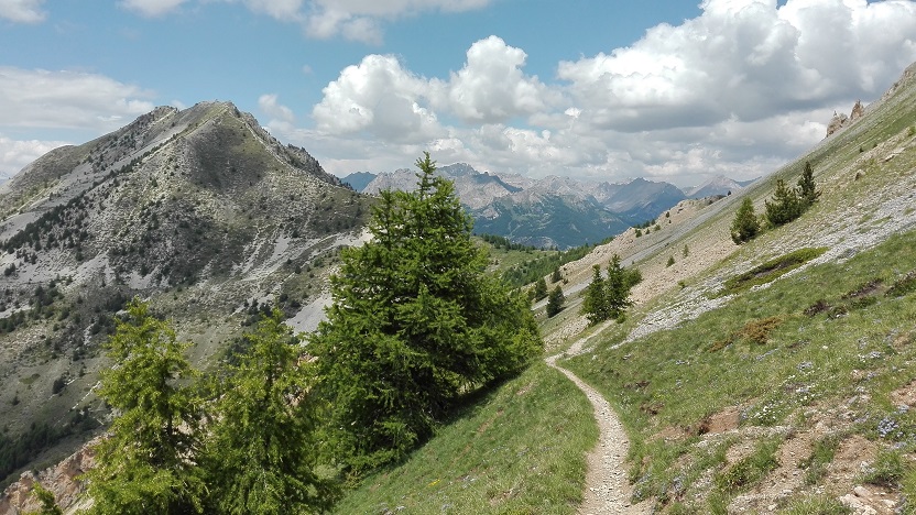 Cesta do Col Fromage.