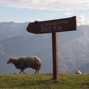 Cordillera Blanca, Alpamayo trek, Peru