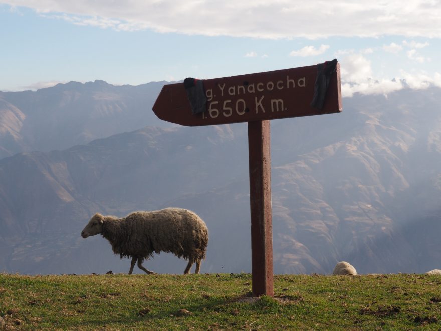 Cordillera Blanca, Alpamayo trek, Peru