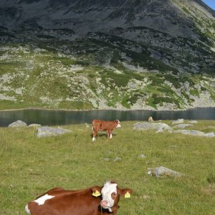 Jezernaté hory, Rumunsko