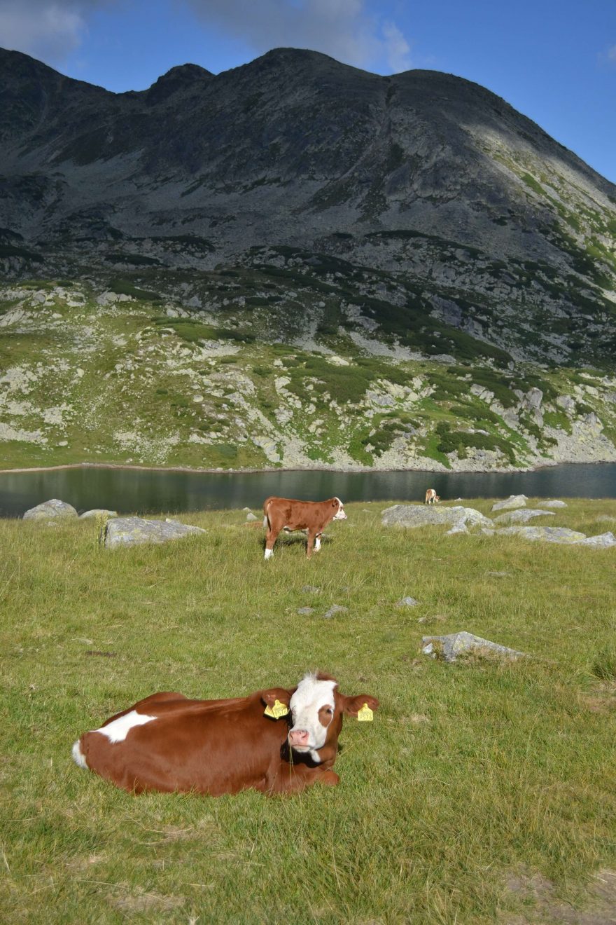 Jezernaté hory, Rumunsko