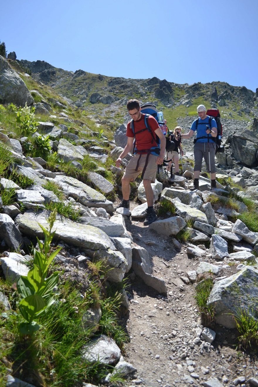 Na pastvinách pasou bačové skot, Retezat, Rumunsko