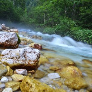Řeka Kamniška Bistrica pramení na svazích Grintovce. Kamnicko-Savinjské Alpy, Slovinsko.