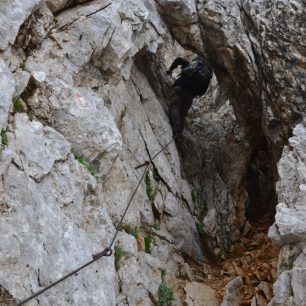 Exponované úseky na Turskou goru. Kamnicko-Savinjské Alpy, Slovinsko.