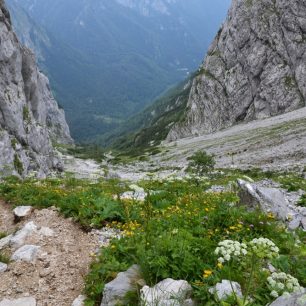 Sestup do doliny Kmniške Bistrice z Kokrského sedla. Kamnicko-Savinjské Alpy, Slovinsko.