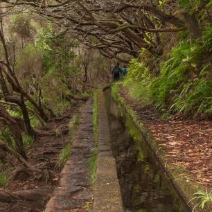 Levada Caldeirão Verde na Madeiře: podél levád skrz vavřínový les až do Pekelného kotle Caldeirao do Inferno