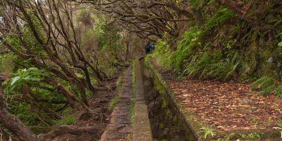 Levada Caldeirão Verde na Madeiře: podél levád skrz vavřínový les až do Pekelného kotle Caldeirao do Inferno