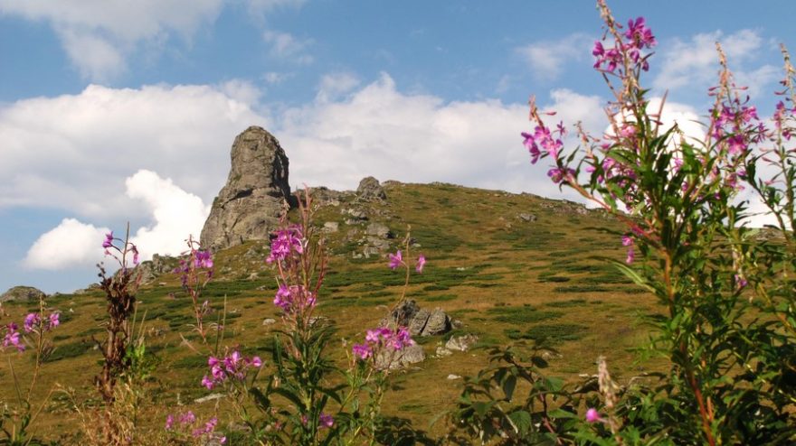 Na Midžor se stoupá po mírném travnatém hřebeni pohoří Stará planina ze střediska Babin Zub.