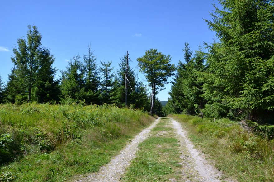 Pohodový víkendový výlet do Orlických hor.