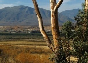 Trekování divočinou jménem Cederberg v JAR