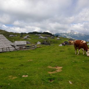 Velika planina, Kamnicko-Savinjské Alpy, Slovinsko.
