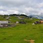 Pohodový výšlap na Velikou planinu v Kamnicko-Savinjských Alpách