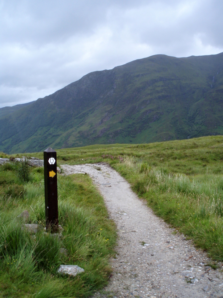 typickým znamením stezky je bodlák, který má ve znaku Skotsko. , West Highland Way, Skotsko.