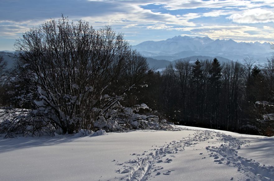 Krásné a klidné polské Beskydy.