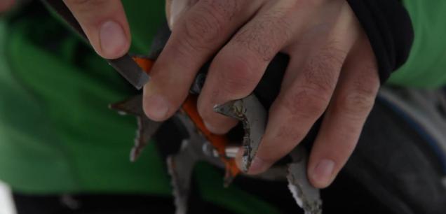 Jak se starat o mačky (broušení) + VIDEO