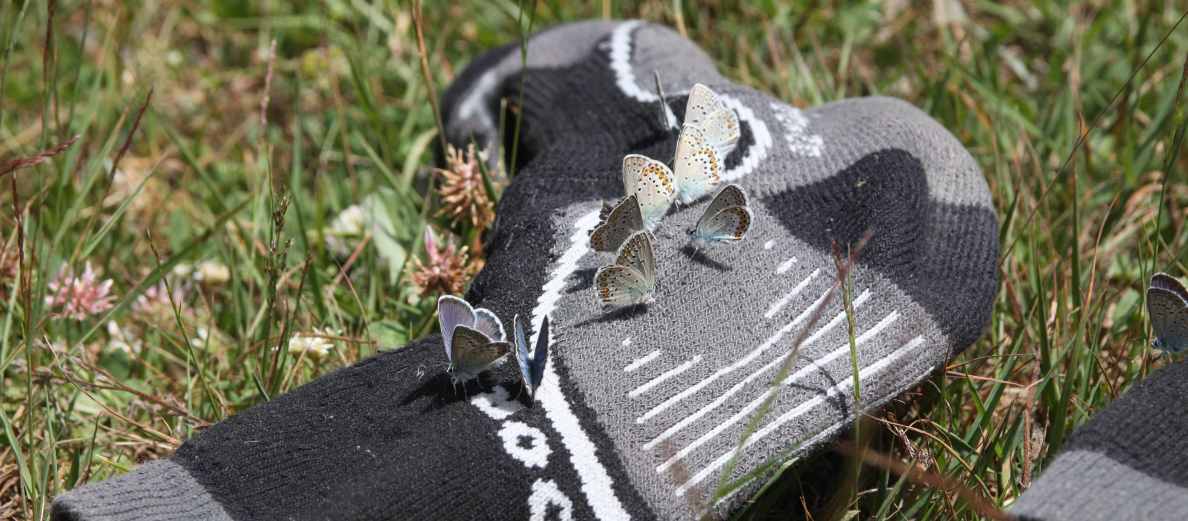 Vybíráme outdoorové ponožky II: devět nejčastěji používaných materiálů pod drobnohledem