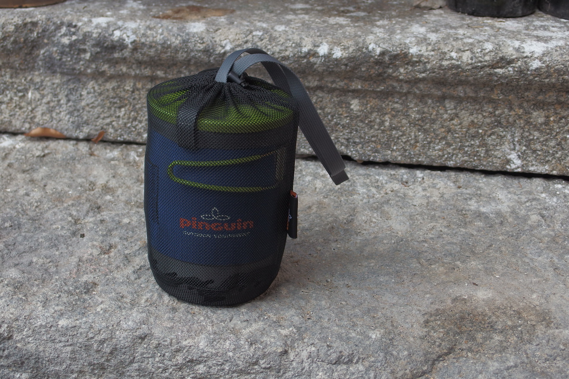 Pinguin Aura, foto Petr Macháček