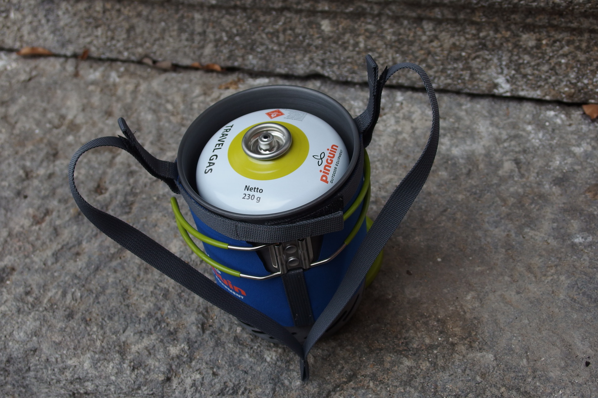 Pinguin Aura, foto Petr Macháček