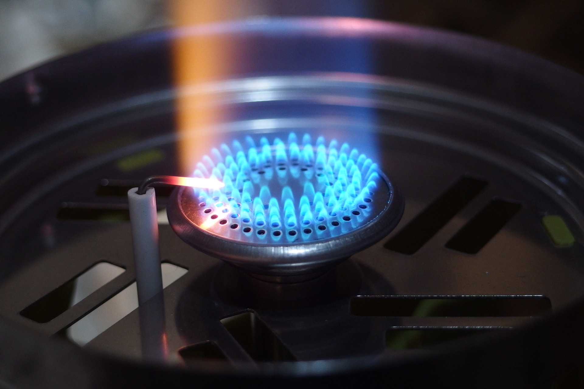 Pinguin Aura, foto Petr Macháček