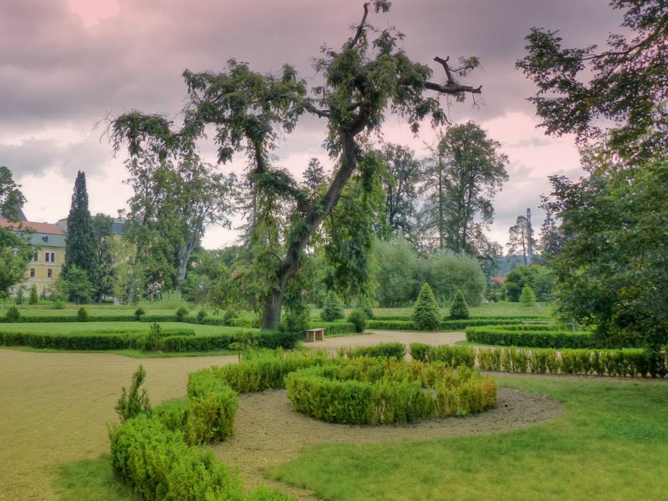 Zámecký park Ostrov - pěstební opatření a nové výsadby (MMR ČR)
