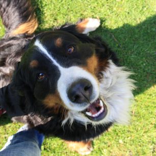 ...ale naopak za dobrých světelných podmínek funguje dobře