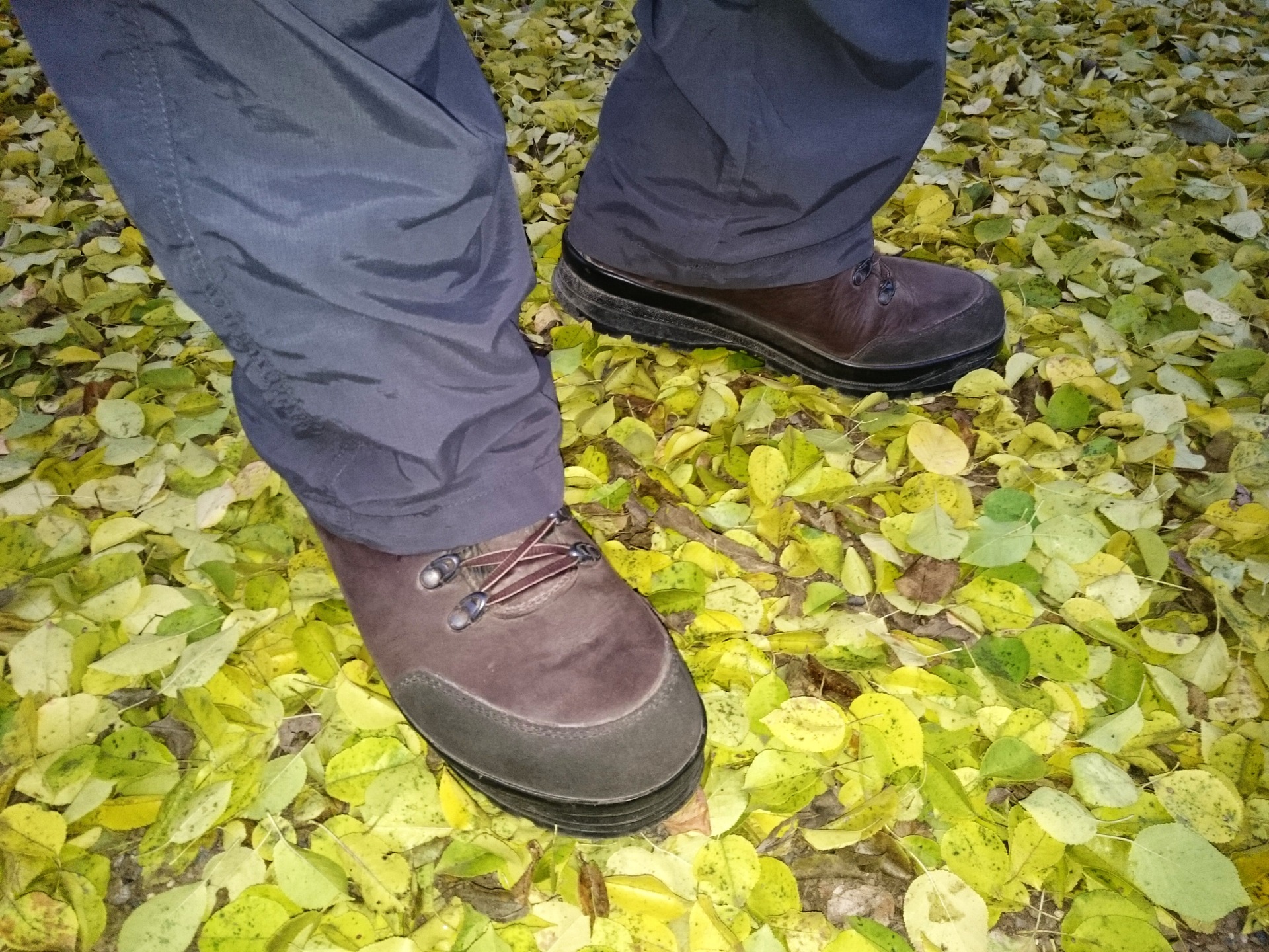 Prověření bot v terénu