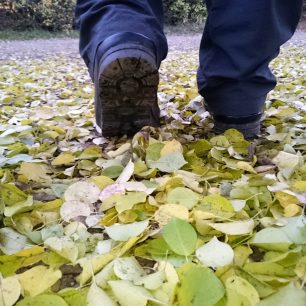 Středně agresivní vzorek