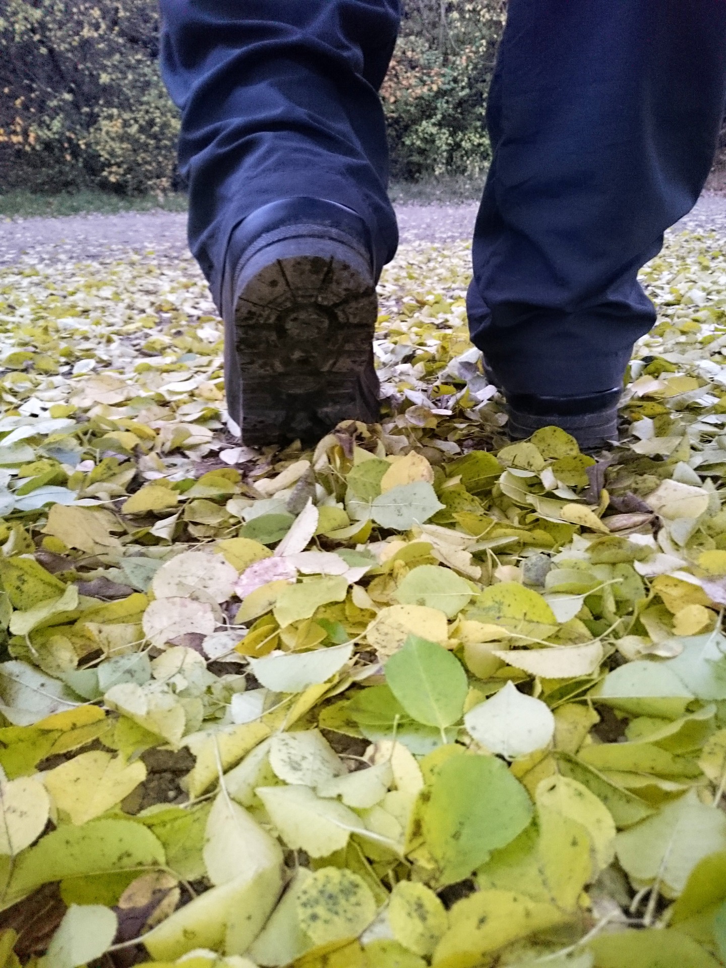 Středně agresivní vzorek