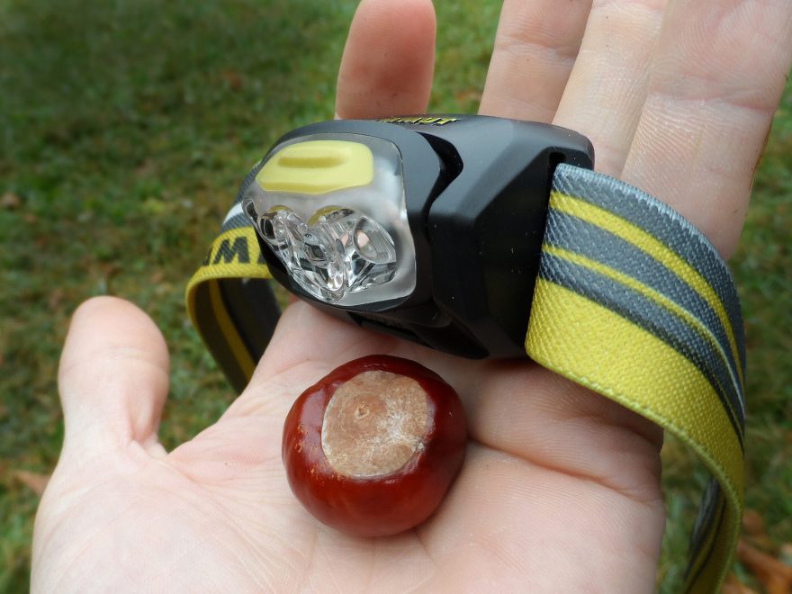 Velikost v porovnání s kaštanem