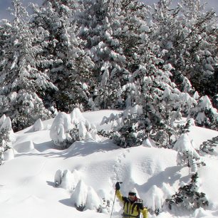 V bulharském prašanu - pohoří Pirin