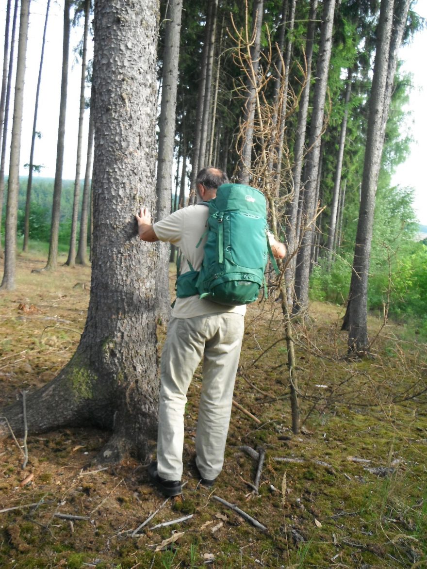 S batohem na zádech lze pohodlně a bez omezení i sbírat dřevo na oheň.