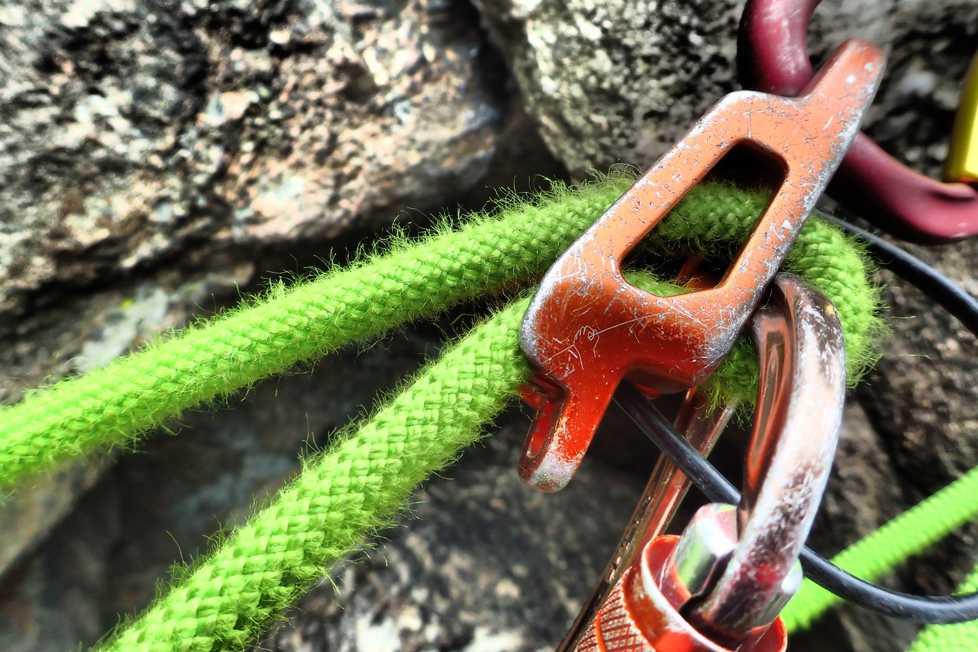Díky hrubému opletu rychle chlupatí na hrubých horninách.