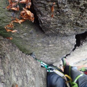 Založit a lézt dál.