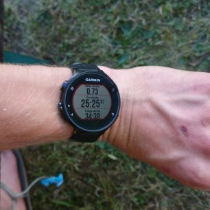 Základní obrazovka při běhu.