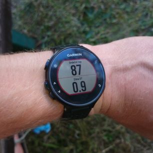 Základní obrazovka při běhu.