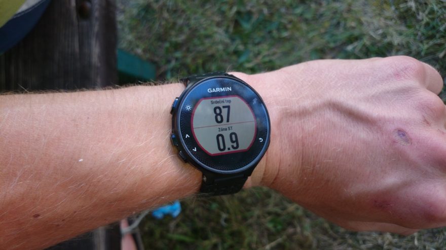 Základní obrazovka při běhu.