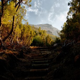 Jindřich Kadrman poradí netradiční cestu na nejvyšší vrchol Madeiry.