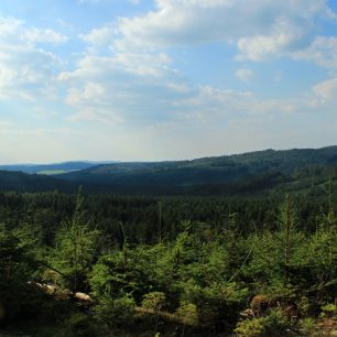 V sedle kola se projedeme po krásách brdských lesů-