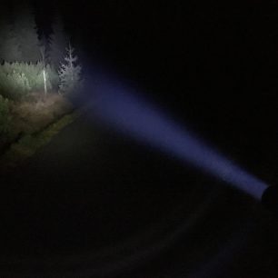 Zaostřené světlo svítilny Ledlenser P7R do lesa.