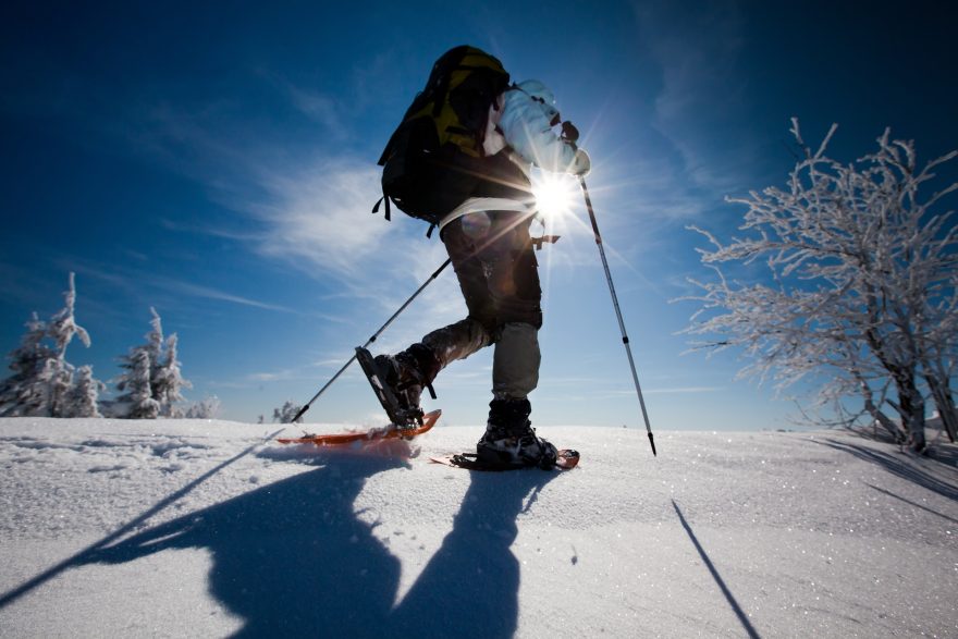 Sněžnice ulehčují pohyb na sněhové pokrývce. Foto: Shutterstock