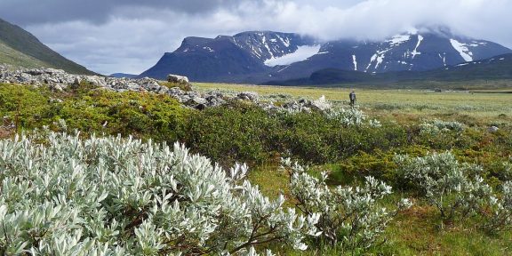 Trek Královskou stezkou kolem jezer v NP Sarek