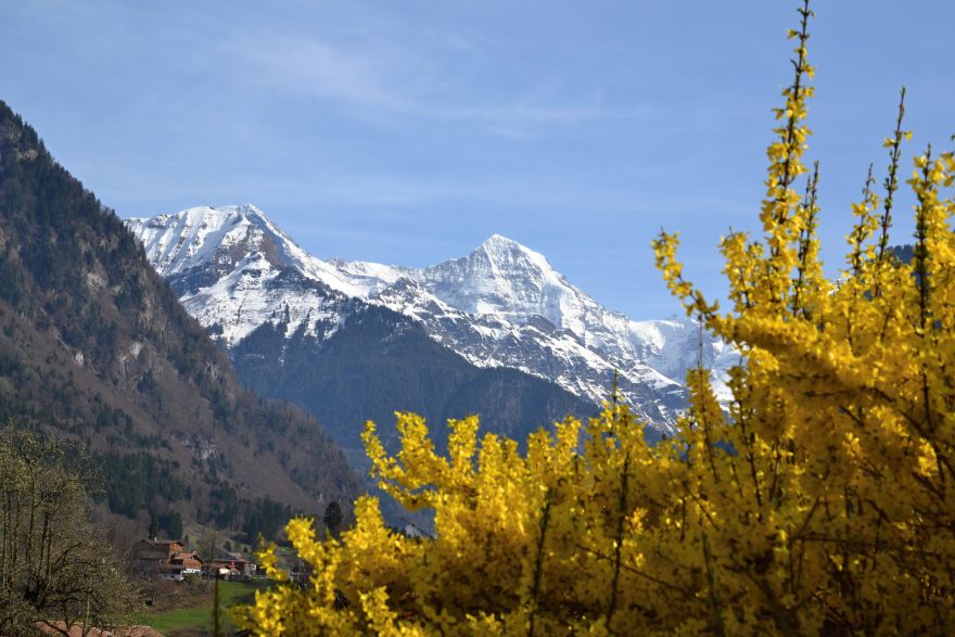 Čtyřtisícovky na jaře stále halí sníh, v údolí už je v květnu jaro v plném proudu.