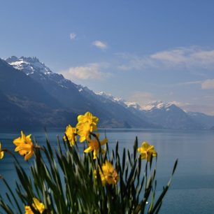 Vyhlídka na Brienzské jezero od kostelíku v Brienzu, Švýcarsko.