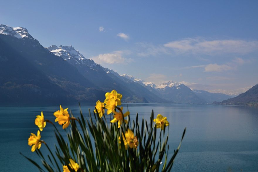 Vyhlídka na Brienzské jezero od kostelíku v Brienzu, Švýcarsko.