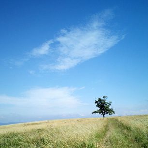 Foto z jízdy na kole - lokalita u Javoru ve Vsackých Beskydech, foto má lehký nádech do modra